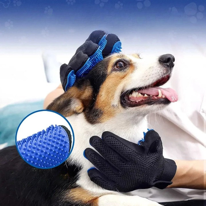 Gant de toilettage pour animaux