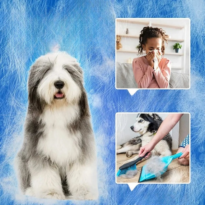 Gant de toilettage pour animaux