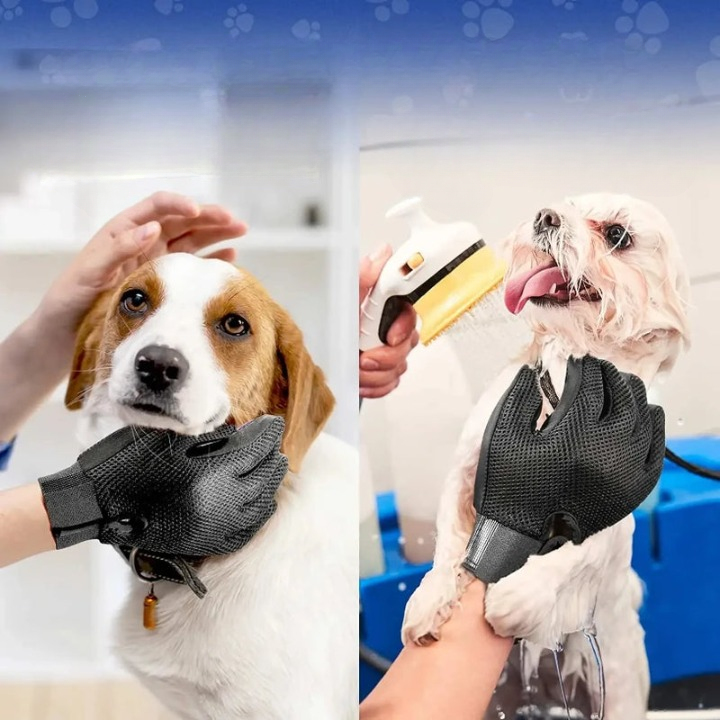 Gant de toilettage pour animaux